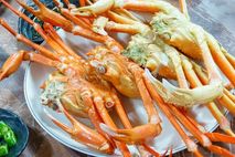 [기획] 설 연휴 ‘온천·일출·미식’, 겨울 울진의 매력에 흠뻑