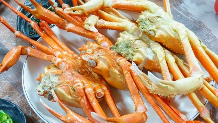 [기획] 설 연휴 ‘온천·일출·미식’, 겨울 울진의 매력에 흠뻑