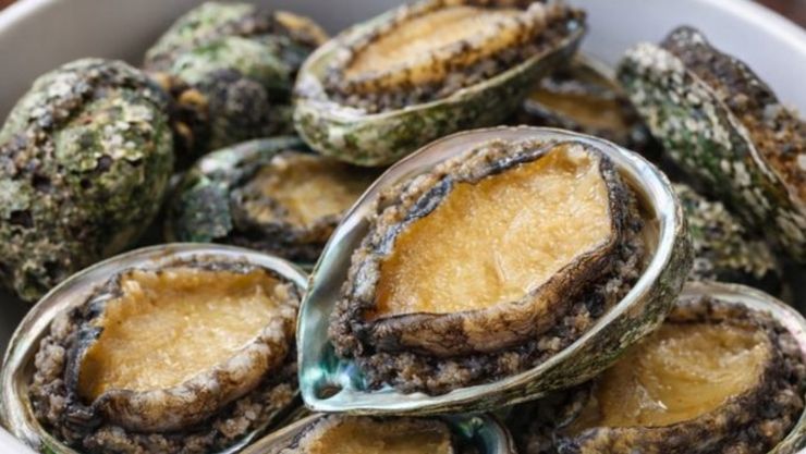 [식품오늘] 경주천년한우·경주체리·감포 참전복…경주 농축수산 ‘3대 명품’ 부상