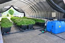 [스마트팜] 작은 공간이 농장으로…‘모듈형 수경재배장치’ 특허 등록