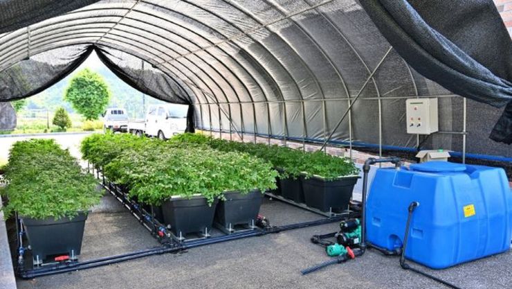 [스마트팜] 작은 공간이 농장으로…‘모듈형 수경재배장치’ 특허 등록