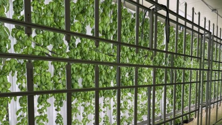 도심형 스마트팜 ‘대전팜’ 확대 추진