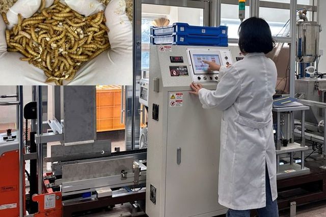 [신사업리포트] 전남농기원, 곤충 활용 식품소재 산업화 속도
