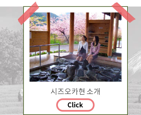 시즈오카현 소개