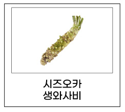 시즈오카 생와사비