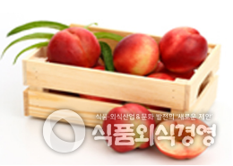 복숭아이노센스