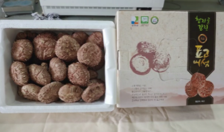 청자골강진 친환경 표고버섯