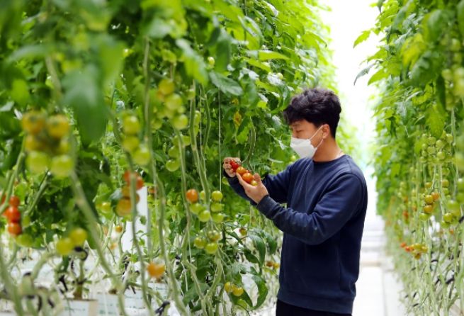 경남도, 지능형농장(스마트팜) 열혈 청년교육생 모집