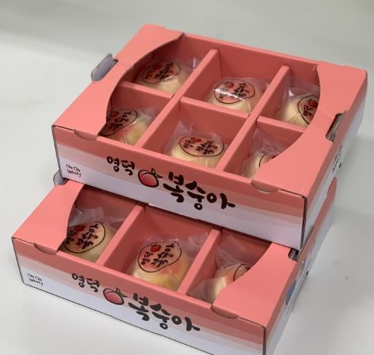 영덕군, 특산물 활성화를 위한 영덕 복숭아빵 생산지원
