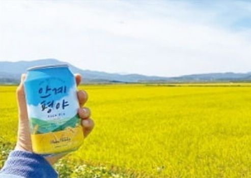 호피 홀리데이