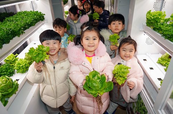 지난 21일 동대문구청에서 스마트팜 작물 수확 체험을 하는 어린이들