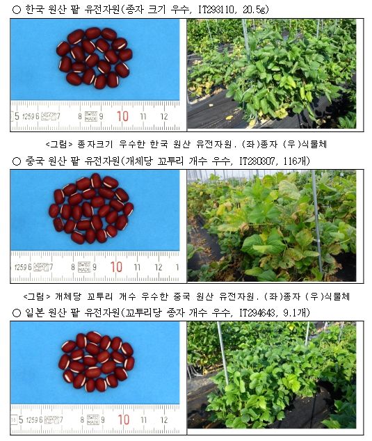 국가별 대표 형질 우수유전자원