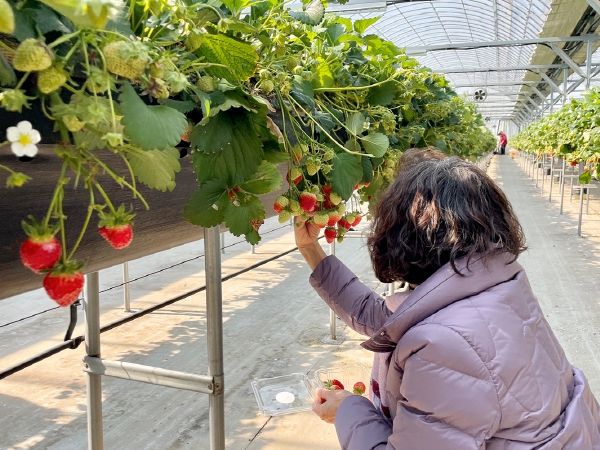 대구시, 자연의 품에서 행복을 찾는‘치유농업프로그램’운영