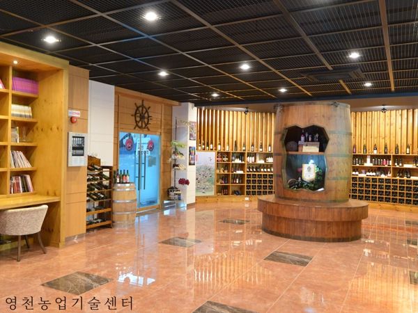 와인맛집 영천, 랜드마크 영천와인터널 재개장