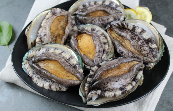 완도청정마켓 등에서 활 전복, 해조류 할인 판매