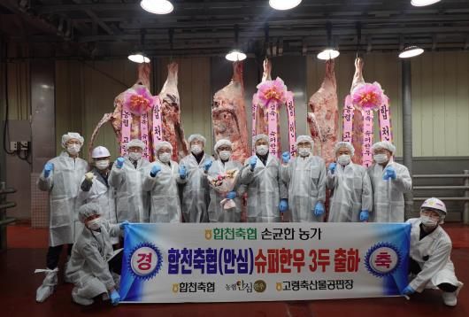 한 농장에서 슈퍼한우 3마리 동시 출하