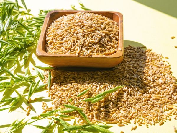 강진군, 쌀귀리 가공식품으로 맛과 건강 사로잡다!