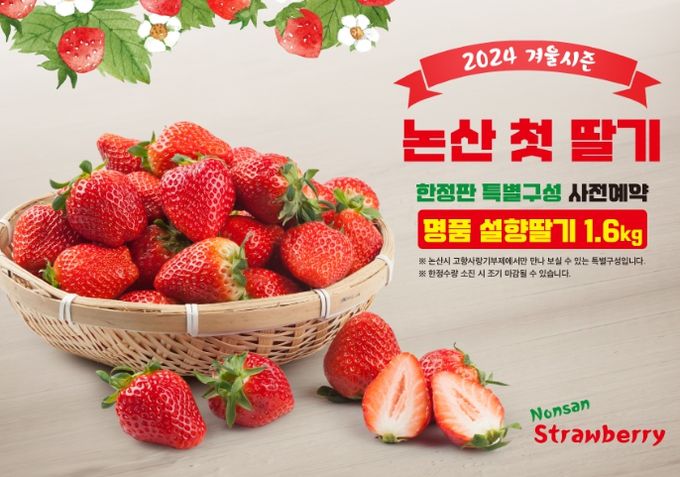 특별한 겨울, 한정판 ‘설향 딸기’ 예약 접수