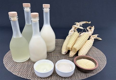옥수수 발효주