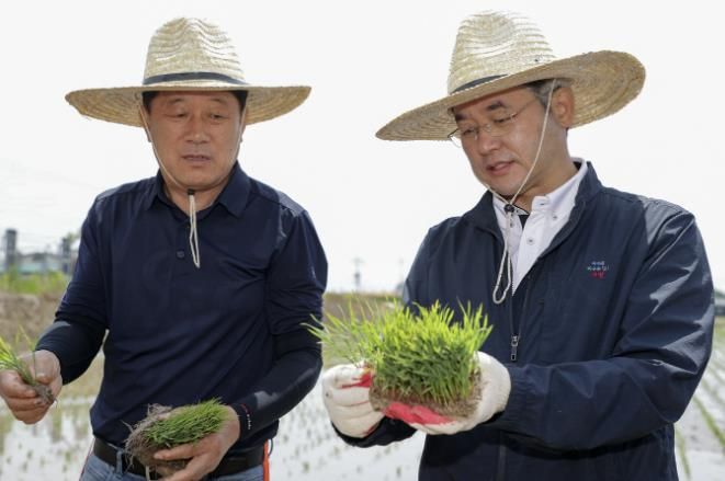 가와지1호 모내기 시연에 참석한 이동환 고양특례시장