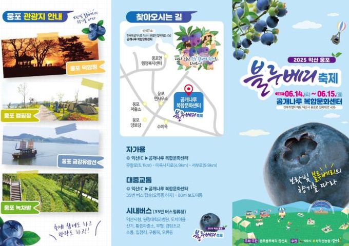 달콤한 여름, 익산 웅포에서 블루베리를 만나다