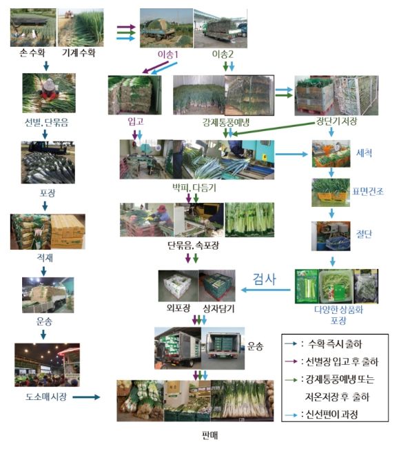 대파 수확 후 관리 일관 시스템