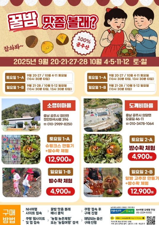 농협네트웍스와 함께하는 공주 밤 줍기 체험 프로그램 운영
